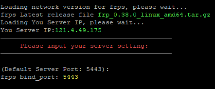 OpenWrt 安装使用 FRP 内网穿透教程 - 第3张