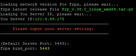 OpenWrt 安装使用 FRP 内网穿透教程-阿帕胡