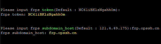 OpenWrt 安装使用 FRP 内网穿透教程 - 第6张