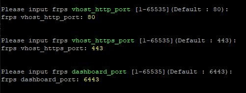 OpenWrt 安装使用 FRP 内网穿透教程 - 第4张