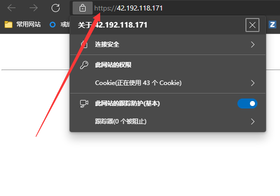 申请免费公网 IP SSL 加密证书教程 - 第8张