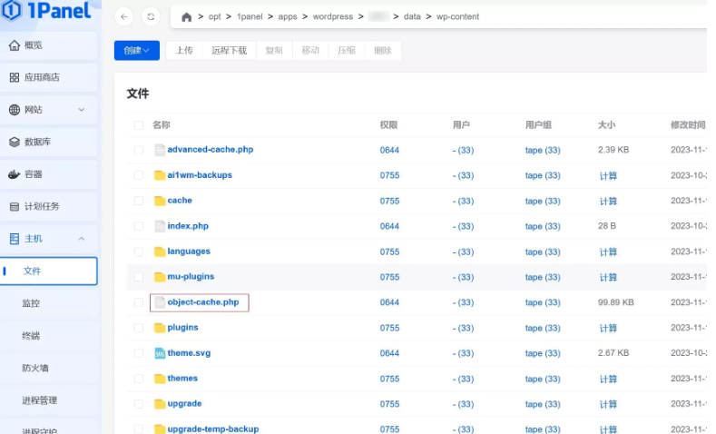 如何使用1Panel面板配置WordPress网站的Redis Object Cache插件 - 第3张