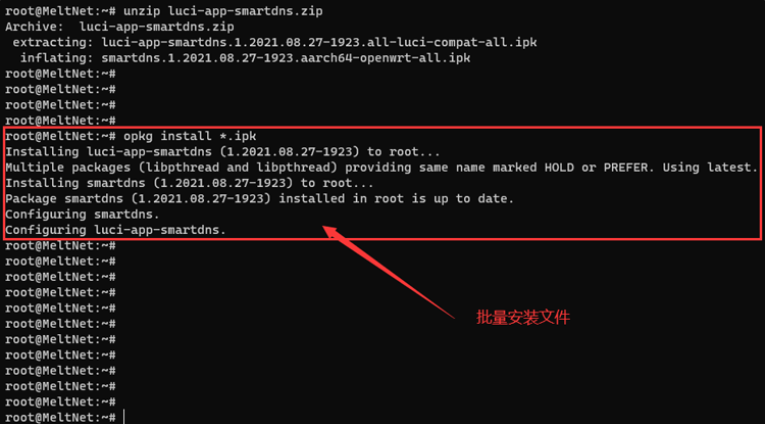 OpenWrt 安装 SmartDNS 插件与配置使用教程 - 第3张